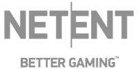 MasterCard partner logo