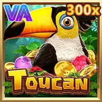 Toucan