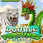 Double Fortune icon